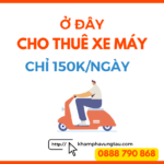 thue-xe-may-vung-tau